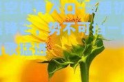 星空体育入口-豪强初露锋芒，势不可挡一路高歌猛进